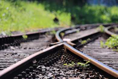 furbymama-rails-5238078_1920
