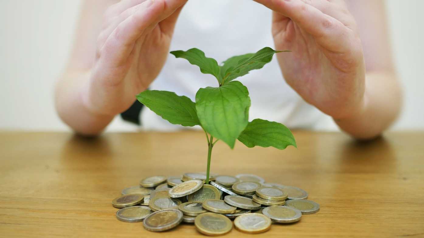 Geldstücke mit Baum und Hand darüber